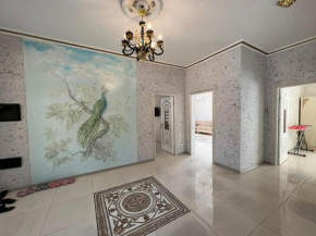 Qabala Vipvilla Vusal